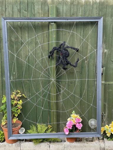 Handmade wooden frame with spider web effecting for climbing plants. Decorative Spider on display in the frame.