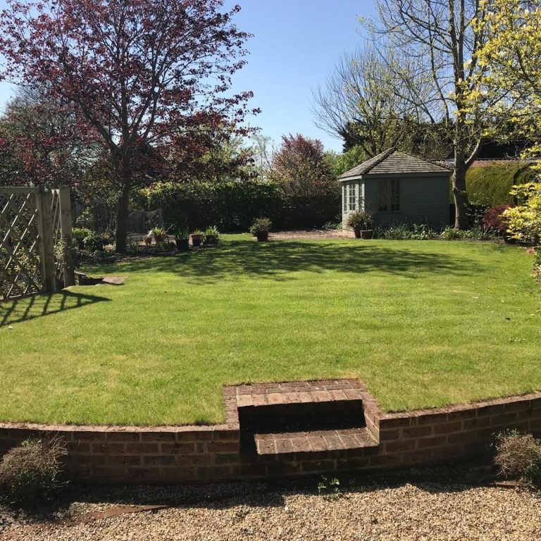 Maintained lawn freshly cut on a summers day